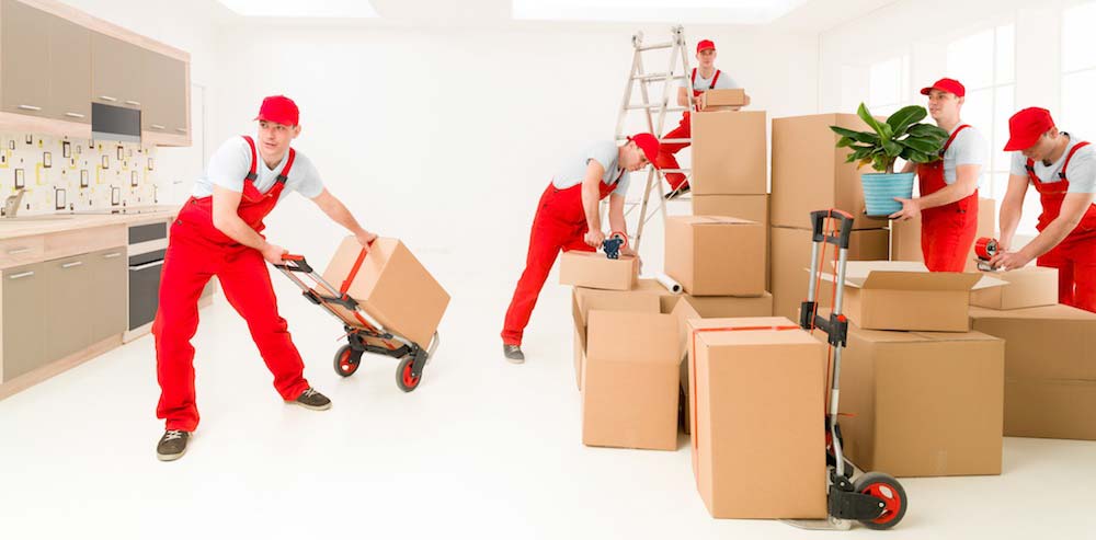 Quality packing service & furniture installation